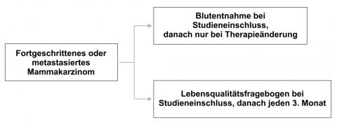 Erklärende Grafik: Mammarzinom